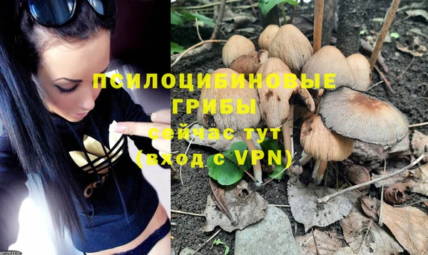 spice Ахтубинск