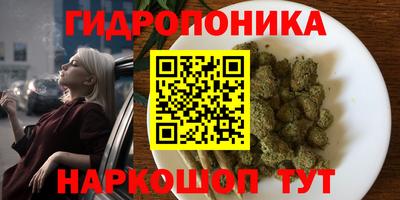 прущие крисы Балаково