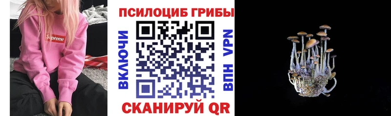 купить наркотики сайты  Вязьма  кракен tor  Псилоцибиновые грибы ЛСД 