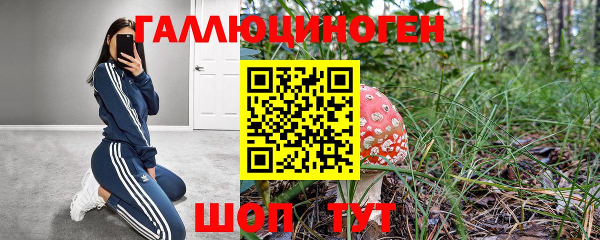 купить наркотики сайты  Вязьма  Галлюциногенные грибы Cubensis  Галлюциногенные грибы Cubensis 