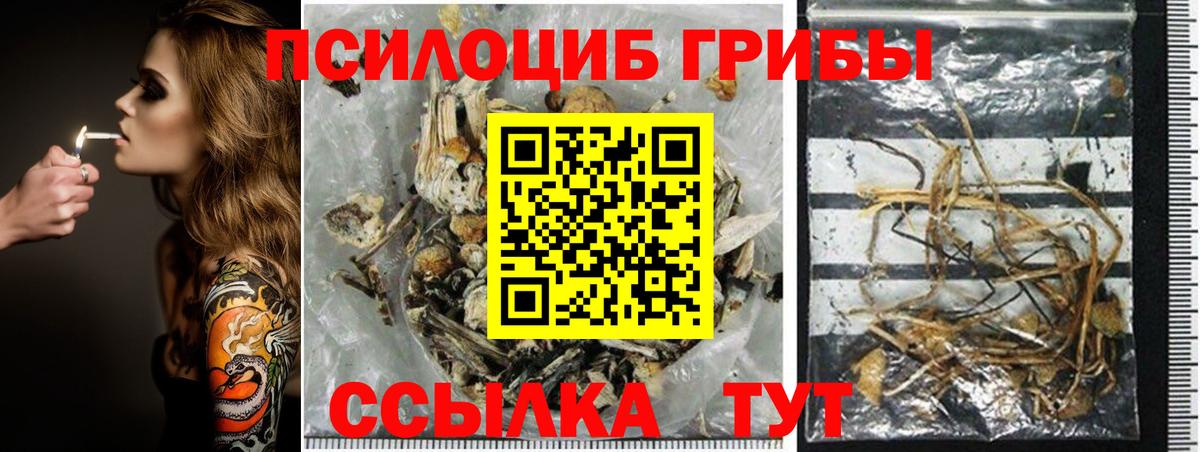 Вязьма  Псилоцибиновые грибы мицелий  сколько стоит  Вход с VPN  Галлюциногенные грибы Magic Shrooms 