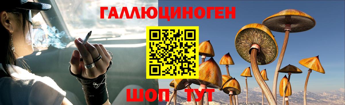 Галлюциногенные грибы мухоморы Вязьма